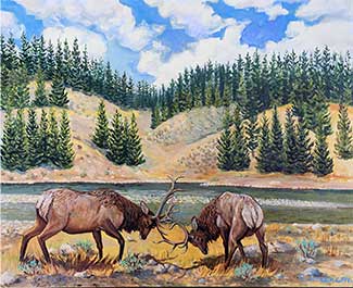 Elk dueling oil painting